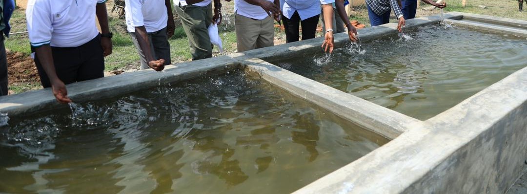 Water Protection